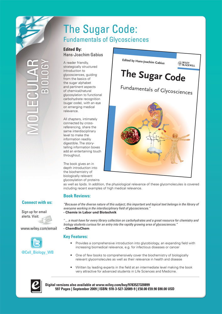 sugarcode_flyer-1